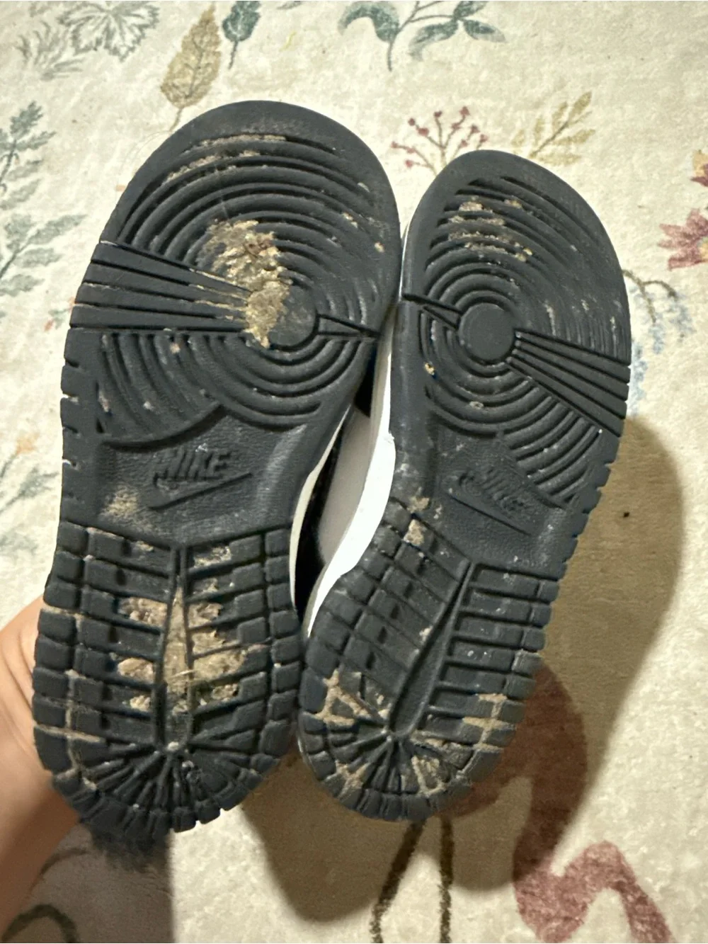 Nike dunk Kids Black and White Low-Top Sneakers 10C